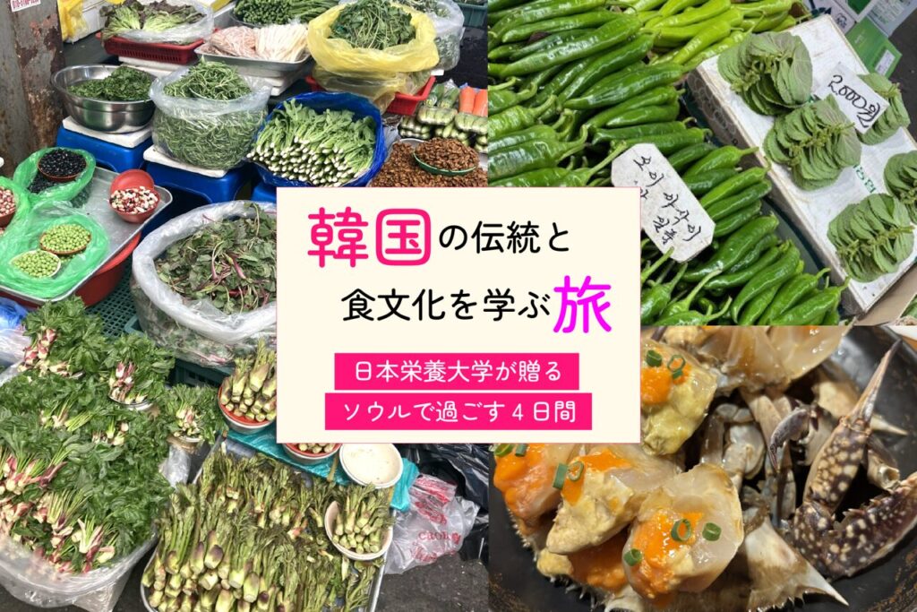 【参加者募集中】韓国の伝統と食文化を学ぶ旅｜日本栄養大学が贈る ソウルで過ごす特別な4日間！